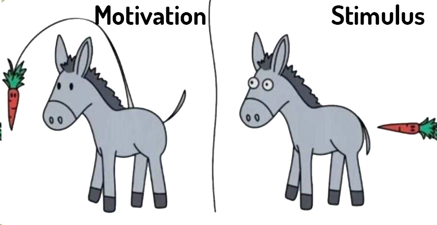 motivation.jpg